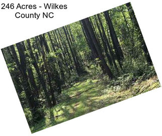 246 Acres - Wilkes County NC