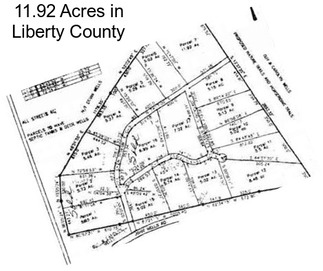 11.92 Acres in Liberty County