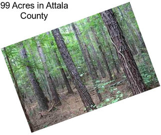 99 Acres in Attala County