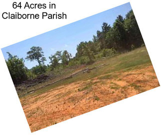 64 Acres in Claiborne Parish