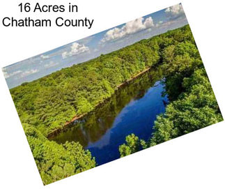16 Acres in Chatham County