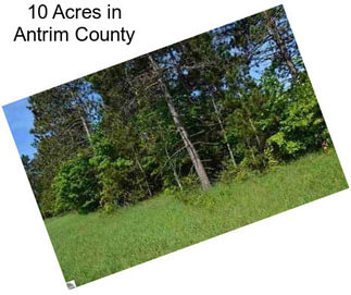 10 Acres in Antrim County