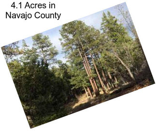 4.1 Acres in Navajo County
