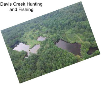 Davis Creek Hunting and Fishing