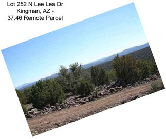 Lot 252 N Lee Lea Dr Kingman, AZ - 37.46 Remote Parcel