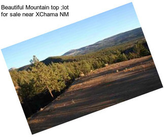 Beautiful Mountain top ;lot for sale near XChama NM