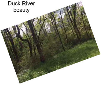 Duck River beauty