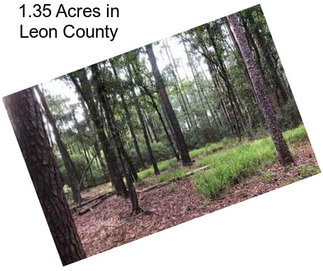 1.35 Acres in Leon County