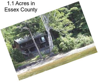 1.1 Acres in Essex County