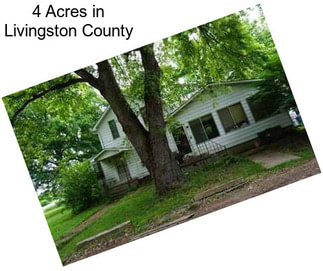 4 Acres in Livingston County