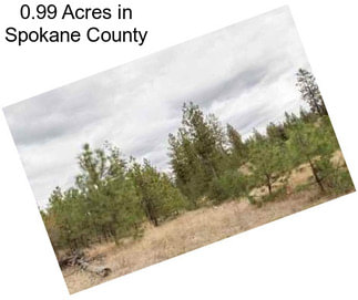 0.99 Acres in Spokane County