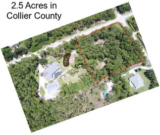 2.5 Acres in Collier County