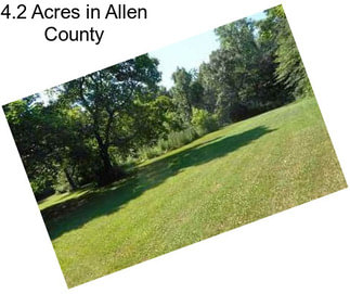 4.2 Acres in Allen County
