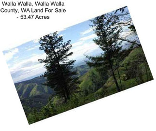 Walla Walla, Walla Walla County, WA Land For Sale - 53.47 Acres