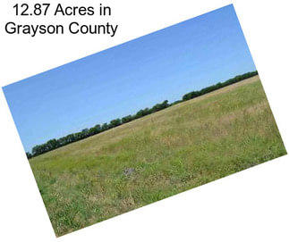 12.87 Acres in Grayson County