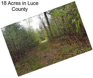 18 Acres in Luce County