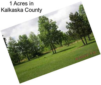 1 Acres in Kalkaska County