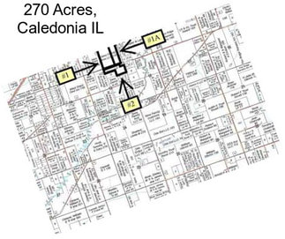 270 Acres, Caledonia IL