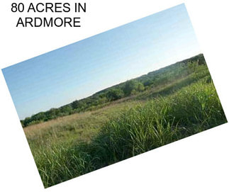 80 ACRES IN ARDMORE