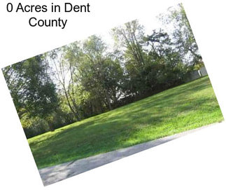 0 Acres in Dent County