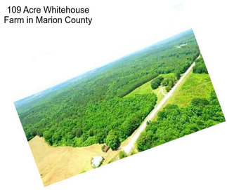 109 Acre Whitehouse Farm in Marion County