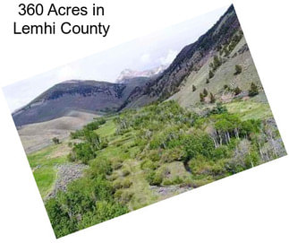 360 Acres in Lemhi County