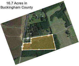 16.7 Acres in Buckingham County