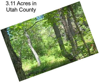 3.11 Acres in Utah County