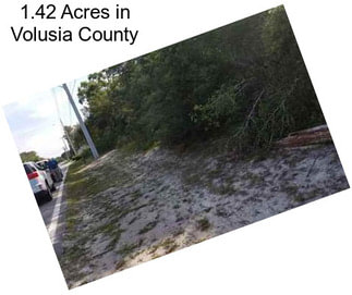 1.42 Acres in Volusia County