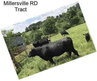 Millersville RD Tract