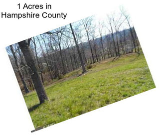 1 Acres in Hampshire County