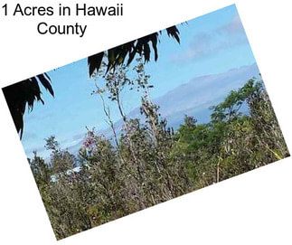 1 Acres in Hawaii County