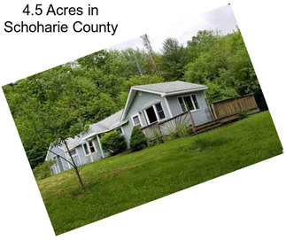 4.5 Acres in Schoharie County