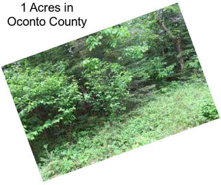 1 Acres in Oconto County