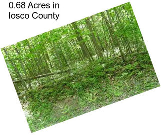 0.68 Acres in Iosco County