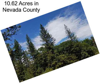 10.62 Acres in Nevada County