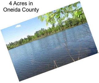 4 Acres in Oneida County