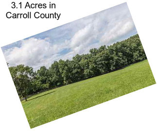 3.1 Acres in Carroll County