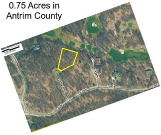 0.75 Acres in Antrim County