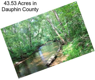 43.53 Acres in Dauphin County