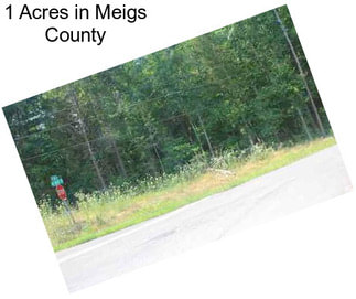 1 Acres in Meigs County