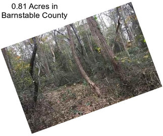 0.81 Acres in Barnstable County