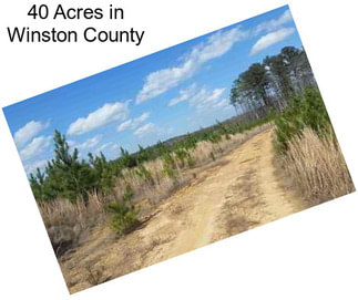 40 Acres in Winston County