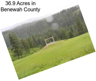 36.9 Acres in Benewah County