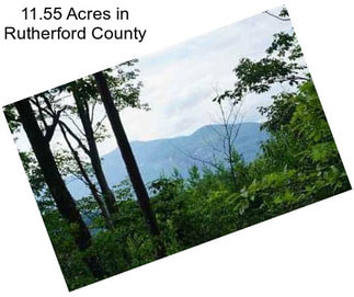 11.55 Acres in Rutherford County