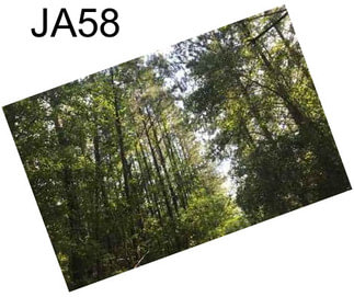 JA58