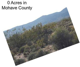 0 Acres in Mohave County