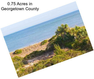 0.75 Acres in Georgetown County