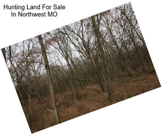 Hunting Land For Sale In Northwest MO