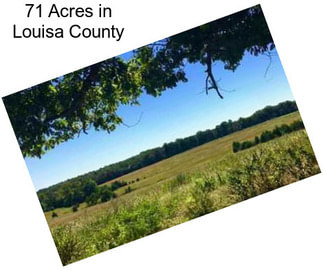 71 Acres in Louisa County